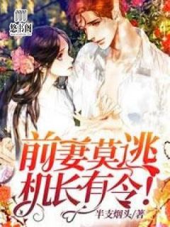 前妻莫逃，机长有令！