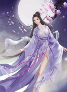 锦衣卫批示使沈鸾