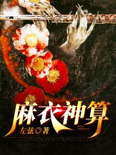 麻衣妙算
