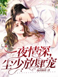 一夜情深，尘少猖獗宠