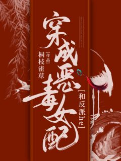 穿成狠毒女配和反派he
