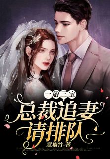 一胎三宝：总裁追妻请列队