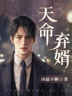 定命弃婿