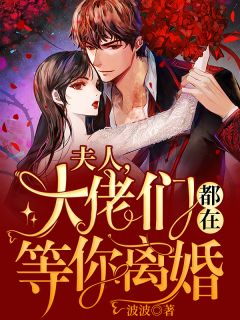 夫人，大佬们都在等你仳离