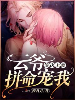 偏执上瘾：云爷，冒死宠我