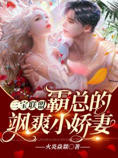 三宝同盟：霸总的飒爽小娇妻