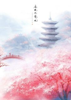 娇弱王爷养成打算