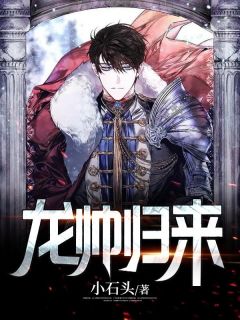 龙帅返来