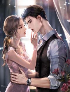 盛少追妻妻子不要跑
