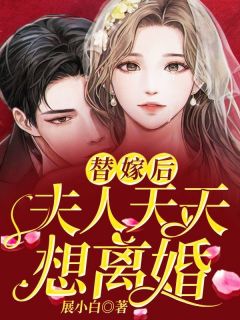 替嫁后：夫人每天想仳离
