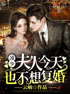 凌少，夫人明天也不想复婚
