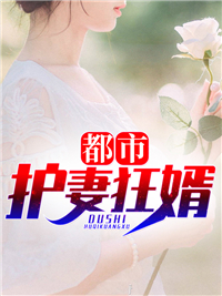 都会护妻狂婿