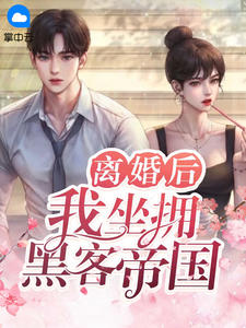 仳离后，我坐拥黑客帝国