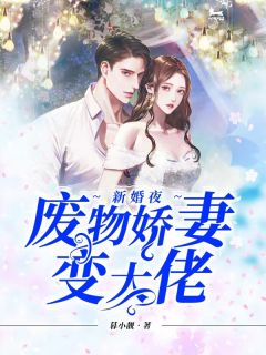 新婚夜，废料娇妻变大佬！