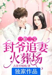 一胎三宝：封爷追妻火化场