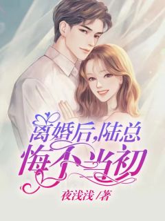 仳离后，陆总悔不此刻