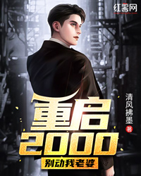 重启2000，别动我妻子