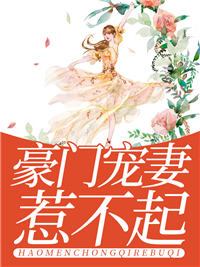 朱门宠妻惹不起