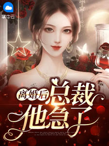 仳离后，总裁他急了