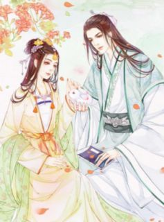 《不负三界不负卿》小说全文出色章节收费试读（紫鸢羲沅）