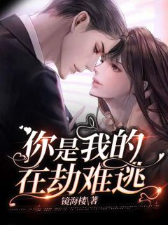 你是我的在灾难逃