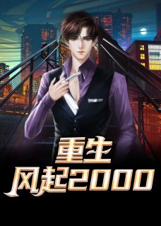 更生：风起2000