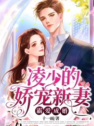 霸爱结婚：凌少的娇宠新妻