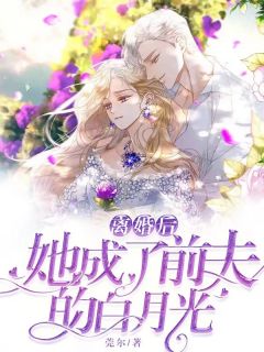 仳离后她成了前夫的白月光
