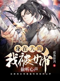 穿梭大周最初一个天子