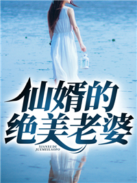仙婿的绝美妻子