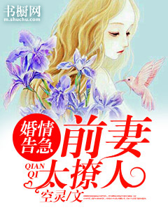 婚情垂危：前妻太撩人