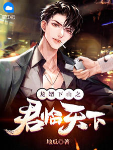 龙婿下山之君临全国