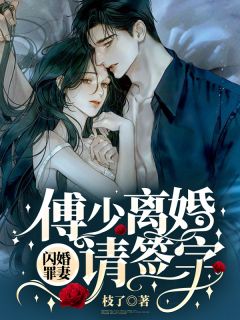 闪婚罪妻：傅少，仳离请具名