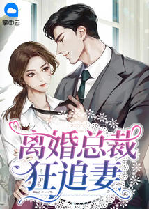 仳离总裁狂追妻