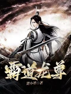 王道龙尊