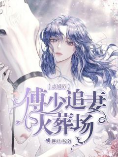 小说《仳离后，傅少追妻火化场》苏晚轻傅夜琛全文收费浏览