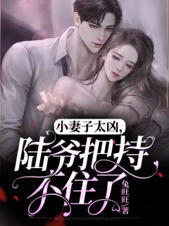 小老婆太凶，陆爷操纵不住了