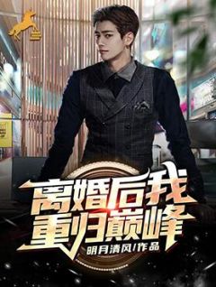 仳离后我重归顶峰
