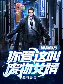 佣兵百万，你管这叫废料半子？