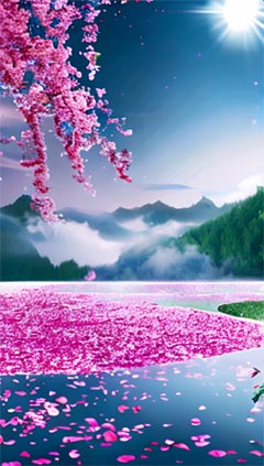 花费返现？美男你站住！