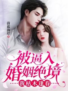《被逼入婚姻绝境，我否极泰来》秦书娅江岳结束版超卓试读