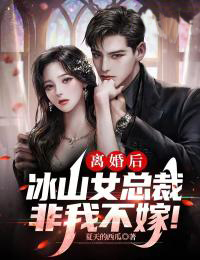 仳离后，冰山女总裁非我不嫁！