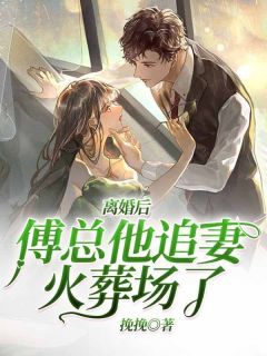 仳离后，傅总他追妻火化场了！