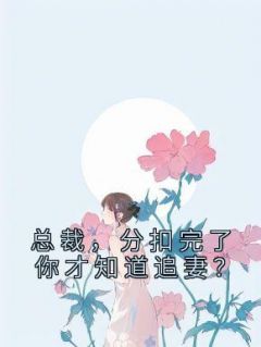 总裁，分扣完了你才晓得追妻？