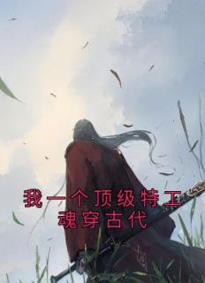 我一个顶级奸细魂穿现代