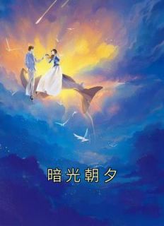 暗光旦夕