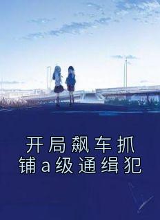 残局飙车抓铺a级通缉犯