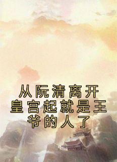 从阮清分开皇宫起便是王爷的人了