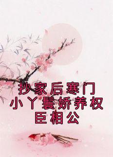 抄家后豪门小丫环娇养权臣相公