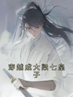 穿梭成大梁七皇子